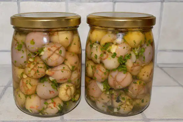 Due barattoli di lampagioni sott'olio, con erbe aromatiche e spezie, pronti per essere gustati.