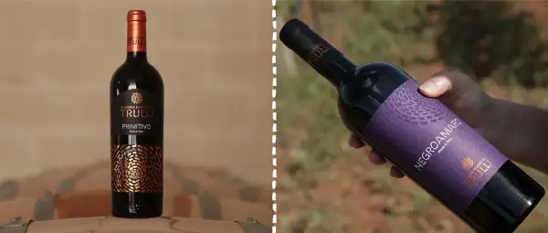 Bottiglia di Primitivo e Negroamaro Masseria Borgo dei Trulli, per scoprire la differenza tra questi vini pugliesi.